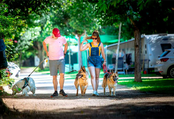 campings-que-admiten-perros-Camping-Fuente-de-Regustran-Huescanl